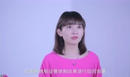 娱乐圈漏税最新爆料视频,揭秘明星逃税黑幕！